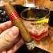 charutos partagas d4 - www.charutospartagas.com.br